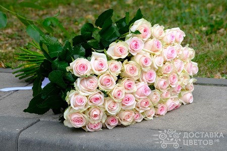 Букет из 51 розы "Розы Свит Ревайвл"